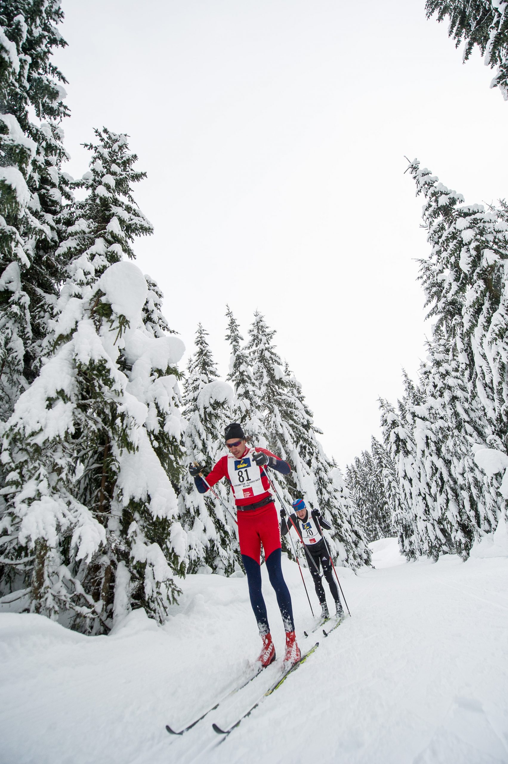 Concorrenti alla Dolomitenlauf 2014.