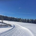Le piste per lo sci di fondo di Ramsau am Dachstein (Austria).