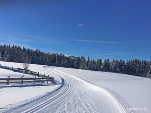 Le piste per lo sci di fondo di Ramsau am Dachstein (Austria).