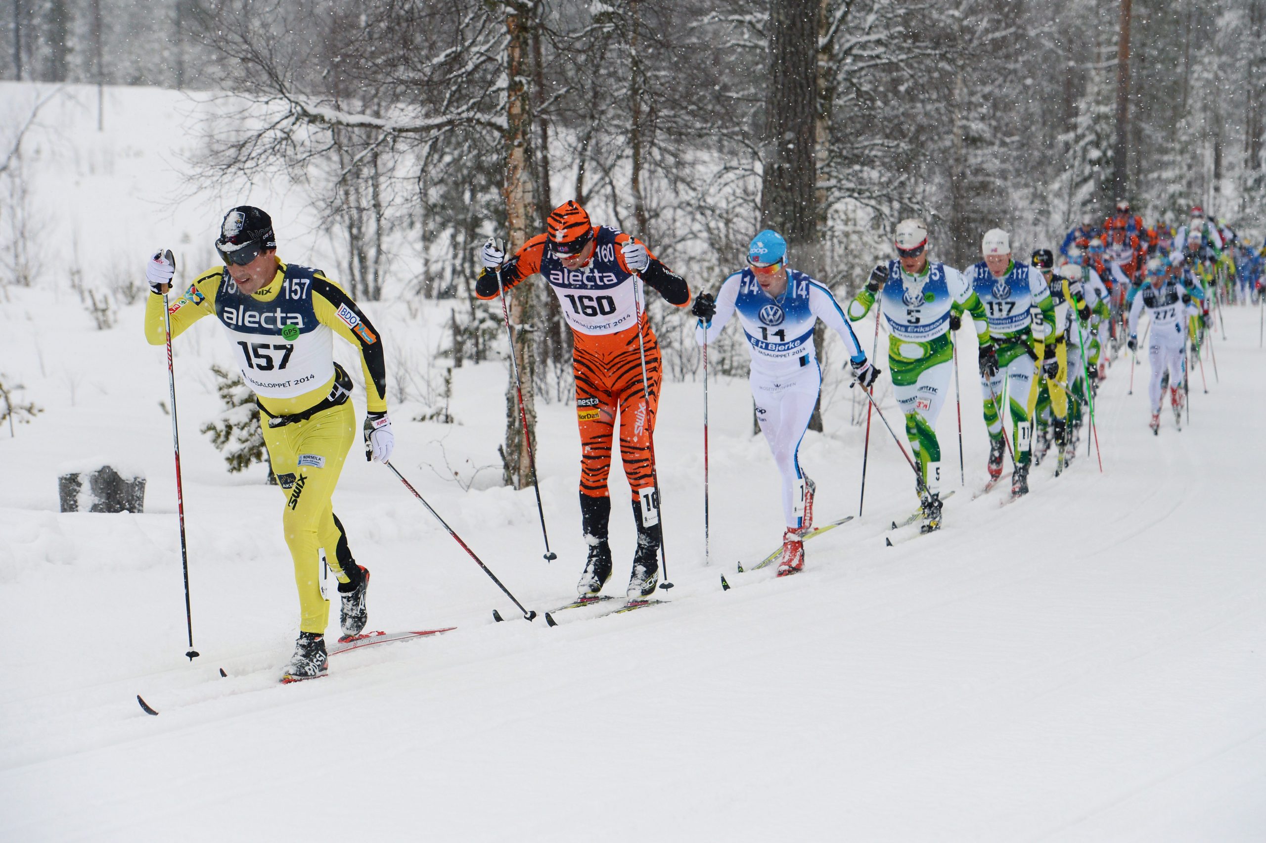 Eldar Ronning alla Vasaloppet (Photo:NordicFocus)