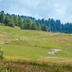 AlpediSiusi_Panorama