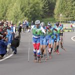 Dementiev_Pellegrino_Gruppo