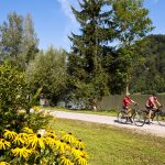 Donauradweg_Oberösterreich