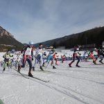 Boccardi_Gruppo