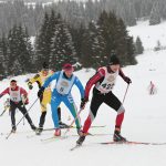 carraraS_gruppo