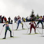 gruppo-6