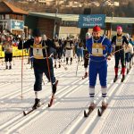 Albarello_Gruppo