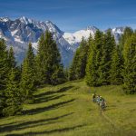 Bike-Adamello-Presanella-Ph-M.Cappe_Archivio-APT-Val-di-Sole