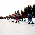 Gruppo-8