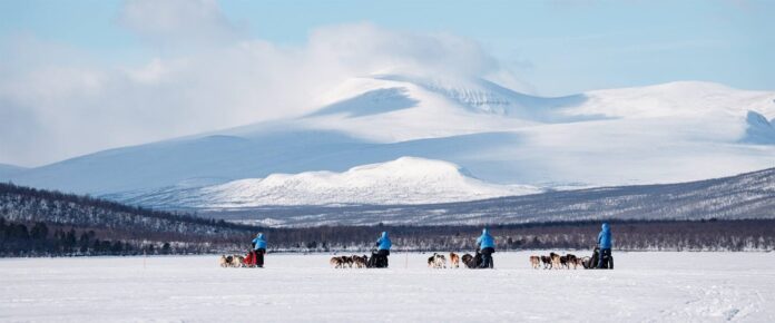 FJR_2025_Polar_LP_ 11